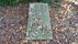 Wilhelm Gard&yuml;: Blumenfriedhof | <a class="print" href="#" onclick="return hs.printImage(this)">Bild drucken</a>
